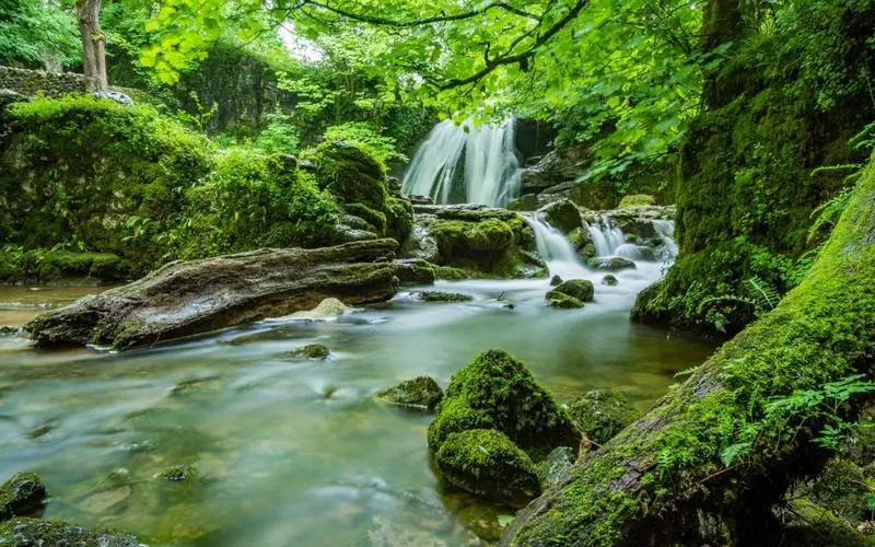 高效自动化高端